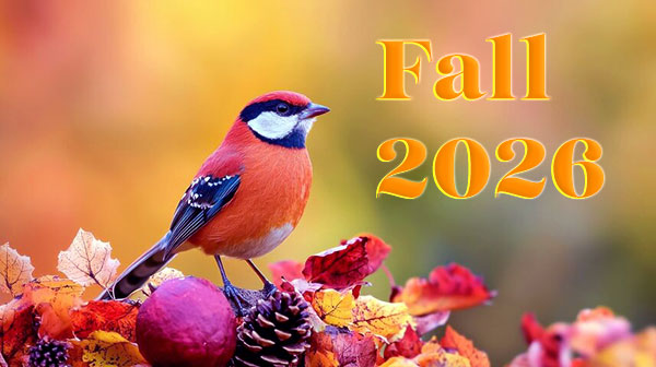 Fall 2026 colorfull bird