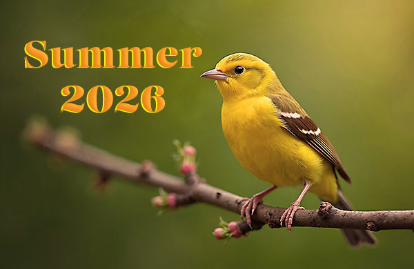 Summer 2026 Newsletter Yellow Warbler Bird