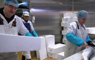 Video Screenshot of Fish Processing Plang