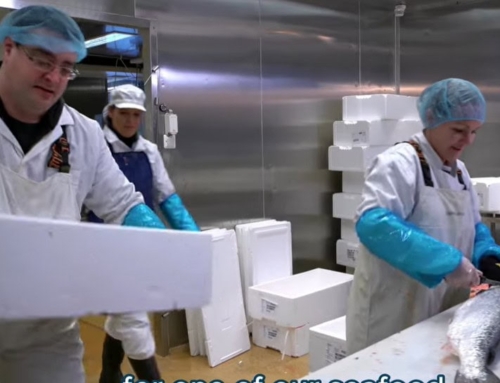 Career Center Expands Outreach with Video